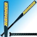 EASTON 33"/26oz. SK2 HAMMER ALUM SOFTBALL BAT