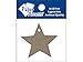 Accent Design Paper Accents ADPCSTAG.1016 Star Tag
