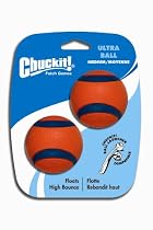 Chuckit! Ultra Ball Medium 2.5-inch, 2 pack
