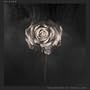 The Weight of Your Love (Deluxe)