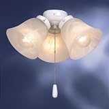 38505WH