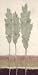 Evergreen I Beautiful MUSEUM WRAP CANVAS Print with Added BRUSHSTROKES Adelene Fletcher 12x24