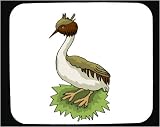 Decorated Mouse Pad with green, white, brown, duck, bird