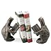 Scholarly Turtle Bookends (pair)