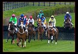 BooBoo Iroqouis Steeple Chase Jumping the Hedge 13 X 19