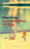 La constellation du chien
