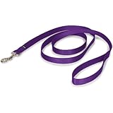 PetSafe Nylon Leash, 3/4" x 6', Deep Purple