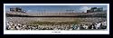Carolina Panthers Football Ericson Stadium Panoramic Print Framed with Team Colors