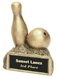 41qsySpBsYL. SL160  Gold Bowling Ball and Pin on Base Award Trophy
