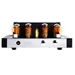 Fatman iTube 252 W/iTube Valve Dock