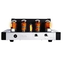 iTube 252 W/iTube Valve Dock