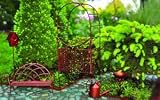 Georgetown Fiddlehead Fairy Garden Accessories Set