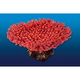 Nature's Image Artificial Corals: Table Acropora Red by