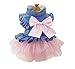 BBEART Pet Clothes, Sweet Bowknot Small Dog Girl Tutu Skirt Clothing Puppy Cat Apparel Teddy Clothes Wedding Dresses for Small Dogs (M, Pink)