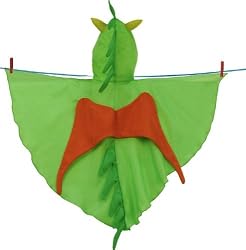 Silk Dragon Costume