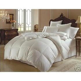1200 Thread Count California King Size Goose Down Alternative Comforter 100% Egyptian Cotton 1200 TC - 750FP - 50Oz - Solid White