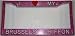Pink Glitter I Love My Brussels Griffon Frame