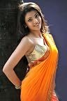 Sarees - Singam Girl