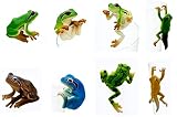 奇譚クラブ ガシャポン PUTITTO アマガエル 全8種