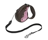 Flexi 16-Feet Retractable Lead with Lupine Pattern Tickled Pink for Pets Up to 44-Pound