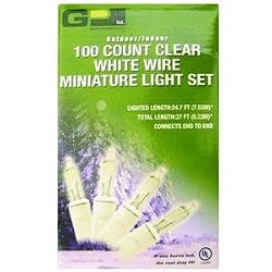 100 Clear White Wire Light Set