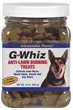 G-WHIZ DOG TREATS 12 oz. jar