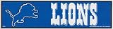 Detroit Lions NFL Throwback Bumper Sticker - 3" X 11"