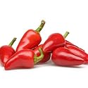 Pepperoncini Piccanti Pepperoni