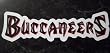 Tampa Bay Buccaneers Team Name NFL Car Magnet