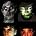 Animal Collective
