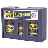 Michigan Wolverines TailGate PartyPack