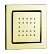 KOHLER K-8003-AF WaterTile 22-Nozzle Bodyspray, Vibrant French Gold
