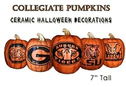 Resin Collegiate Pumpkins 7.5" (Small)
