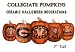 Resin Collegiate Pumpkins 7.5" (Small)