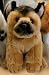 Plush German Shepherd Puppy Sitting 9