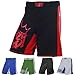 Combat Sports Training MMA Boardshorts