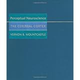 perceptual neuroscience the cerebral cortex
