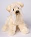   - Cloudy Wheaten Terrier