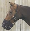 All-In-One Grazing Muzzle