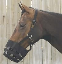 All-In-One Grazing Muzzle
