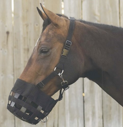 All-In-One Grazing Muzzle