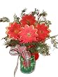 Red Pointsettias Cookie Bouquet 4 Cookies