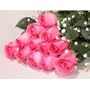 One Dozen Long Stemmed Premium Sapphire Pink Roses