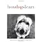 Dog Training - It's all about knowledge and balance