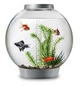 Baby biOrb with Halogen Light, Silver, 4 Gallons