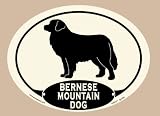 Foyo KE102A Bernese Mountain Dog Key Candy
