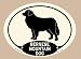 Foyo KE102A Bernese Mountain Dog Key Candy