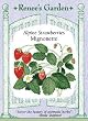 Strawberry Seeds - Alpine Mignonette Heirloom