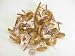 Brass Wire Wheels