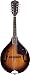 Search: Gretsch G9320 New Yorker Deluxe Mandolin